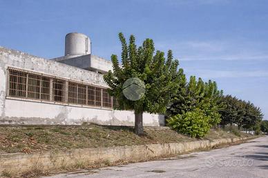 MULTILOCALE A ROSETO DEGLI ABRUZZI
