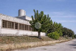 MULTILOCALE A ROSETO DEGLI ABRUZZI