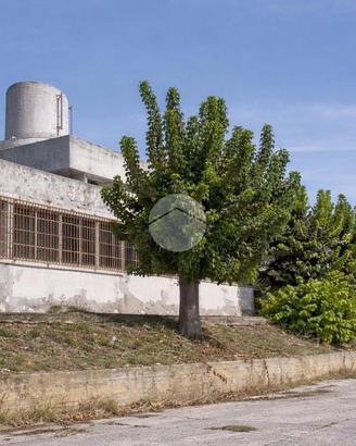 MULTILOCALE A ROSETO DEGLI ABRUZZI