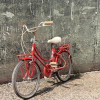 Bici Atala