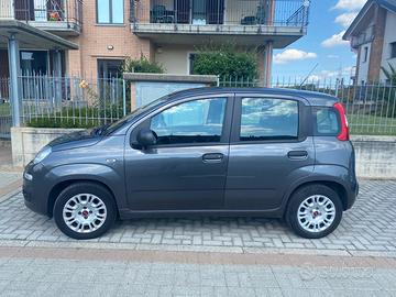 FIAT Panda 3ª serie - 2017