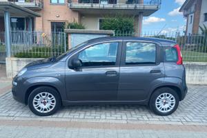 FIAT Panda 3ª serie - 2017