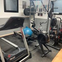 Palestra
