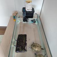 acquario per tartarughe