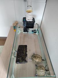 acquario per tartarughe