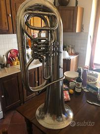 Bassotuba in Mib Alexander Mainz