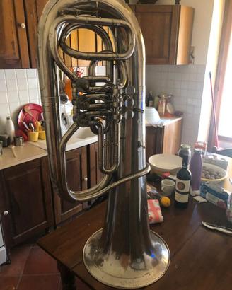 Bassotuba in Mib Alexander Mainz
