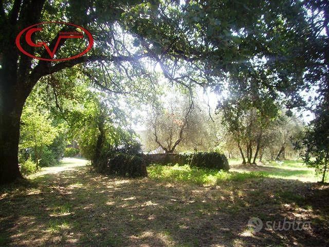 Terreno di 44 m² a Bucine - Vista 4