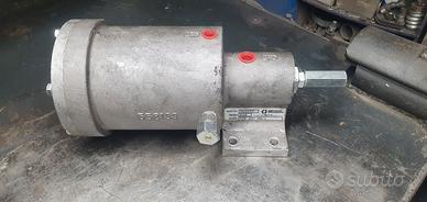 pompa lubrificazione automatica graco