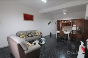 Appartamento 3 vani e accessori