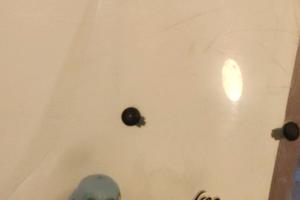 Parabrezza originale piaggio free