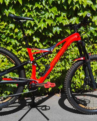 Mountain Bike biammortizzata carbonio