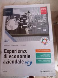 Esperienze di economia aziendale ISBN 978882336638