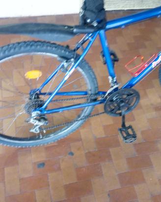 Mtb uomo
