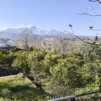 Casa indipendente - Santa Venerina