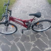Bici Mountain Bike usate