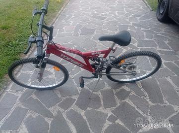 Bici Mountain Bike usate