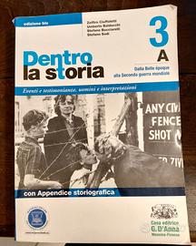 Dentro la storia. Ediz. blu. Vol. 3