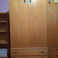 ARMADIO 2 ANTE FRASSINO