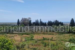 Terreno con rustico e serre a Mascali