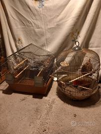 7 gabbiette per uccellini