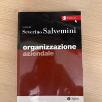 Organizzazione aziendale, Severino Salvemini.