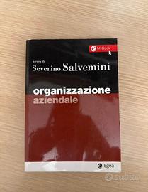 Organizzazione aziendale, Severino Salvemini.
