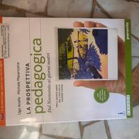 La prospettiva pedagogica 978 88 395 24447