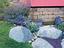 Immagine 26