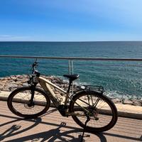 Ebike Cube reaction hybrid pro 625