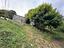 Immagine 7