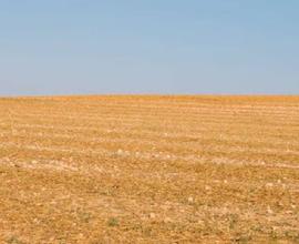 Terreno agricolo a Urgnano(BG)