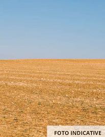 Terreno agricolo a Urgnano(BG)