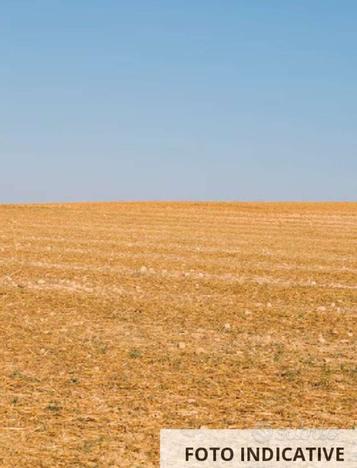 Terreno agricolo a Urgnano(BG)