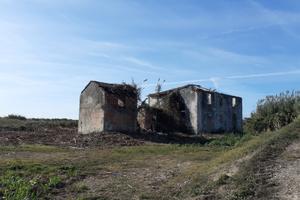 Terreno a 5 km da Viareggio con rustico