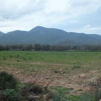 Rif. 24 Terreno agricolo