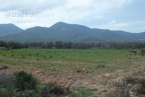 Rif. 24 Terreno agricolo