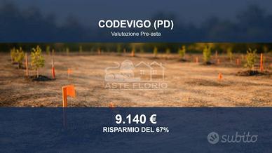 Immobile in asta di 780 m² a Codevigo