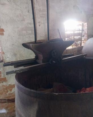 Macina uva e mastello  in legno per vendemmia