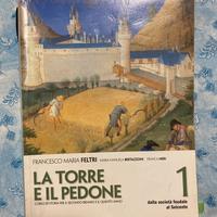 La torre e il pedone 1