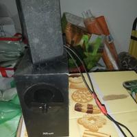 casse amplificate Trust