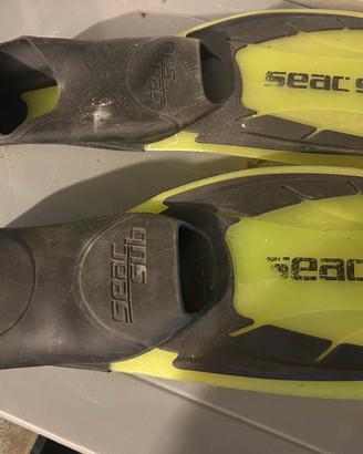 Pinne Seac Sub