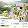 chia-villa-giulia-con-giardino