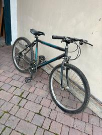 Bici da sterrato