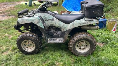 Quad Kawasaki brute force 750