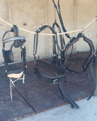 Finimenti per cavalli grande