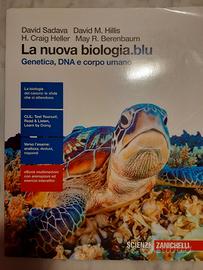 Isbn: 9788808537362