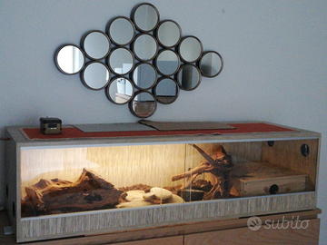 Serpente del grano e teca rettili