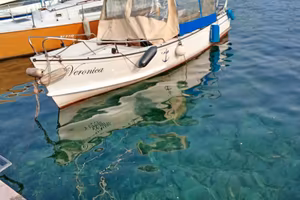 Barca Patucelli