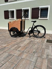 Pandabike